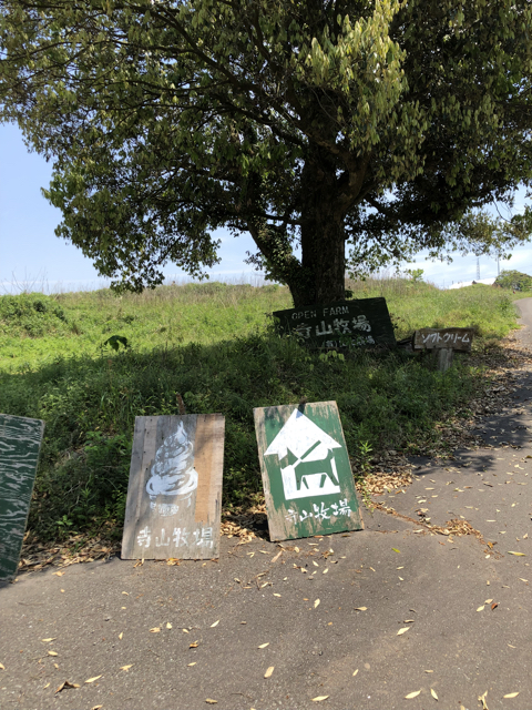 ミステリアスな薩摩川内市 寺山牧場 子どもと 九州おでかけ日和